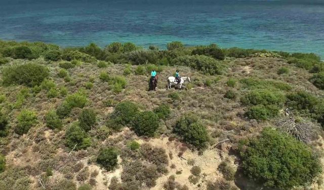 Çanakkale'de orman yangınlarına karşı ekipleri sahada
