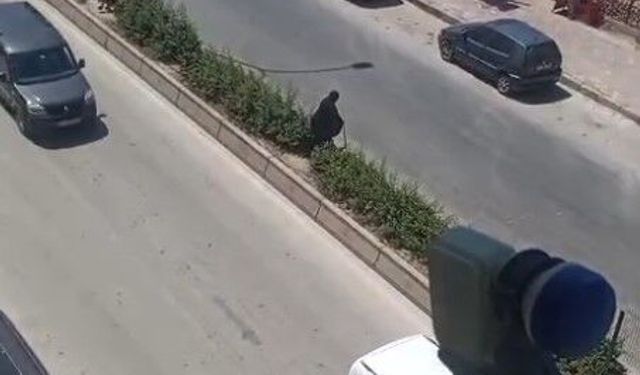 Elinde bastonuyla refüje çıkarak yolun karşısına geçmeye çalışan yaşlı kadın adeta ölümle dans etti