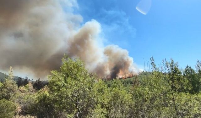 Fethiye Üzümlü'de yangın yeniden başladı