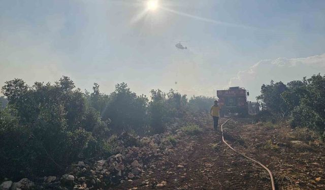 Gaziantep'te çıkan orman yangını havadan ve karadan müdahaleyle söndürüldü