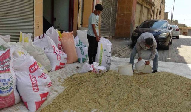 Gercüş'te bereketli hasat: Çiftçinin yüzü güldü