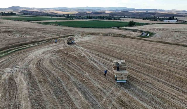 Hasat sonrası balya mesaisi başladı: Günlük kazanç 7 bin lirayı buluyor