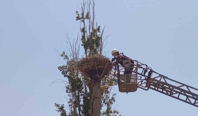 İpe dolanan leyleğin yardımına itfaiye yetişti