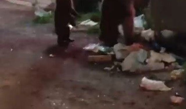Kars'ta vatandaş ayılara türkü söyledi, o anlar sosyal medyayı salladı