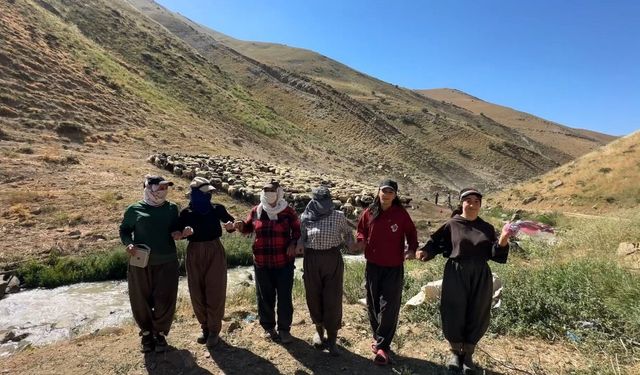 Kızgın güneş atında halaylı süt mesaisi: Berivanlar bakanlıktan gölgelik istiyor