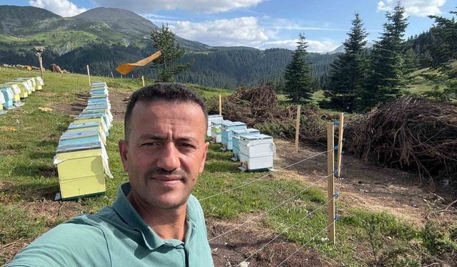 Koruma altındaki gelincik Ilgaz Dağı'nda görüntülendi