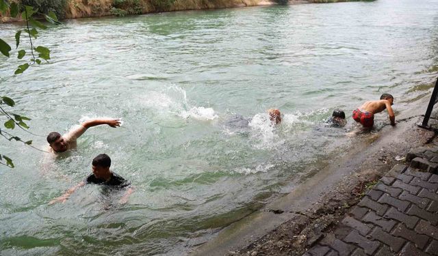 Mahalleli boğulmalara karşı 'Cankurtaran' ekibi kurdu
