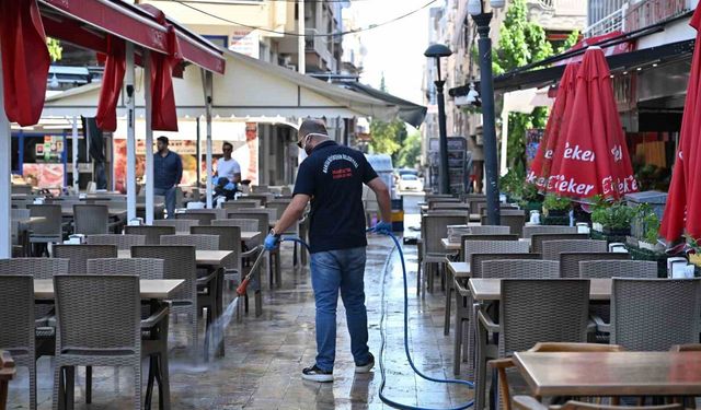 Manisa'da sivrisinekten kemirgene tam kapsamlı mücadele