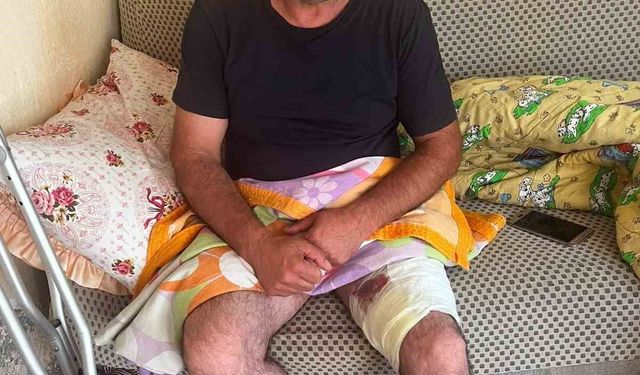 Muradiye'de arazi anlaşmazlığı silahlı kavgaya dönüştü: 1 yaralı