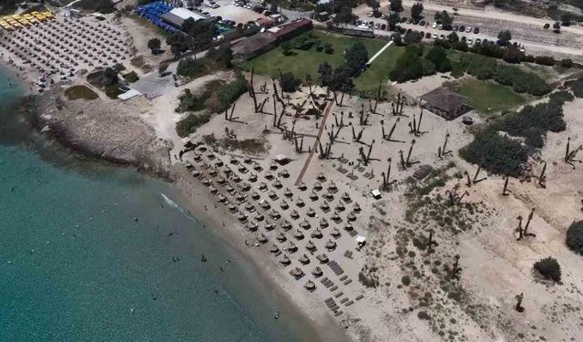 Önü plaj, arkası tarla: Organik plajda elektrik güneşten, ikramlar bahçeden