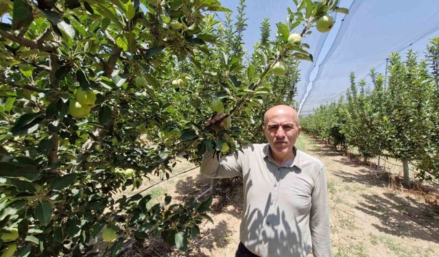 Rekor üretime dolandırıcı uyarısı
