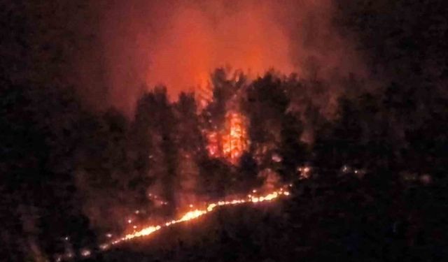 Seydikemer'de geceyi aydınlatan alevlerle mücadele aralıksız sürüyor