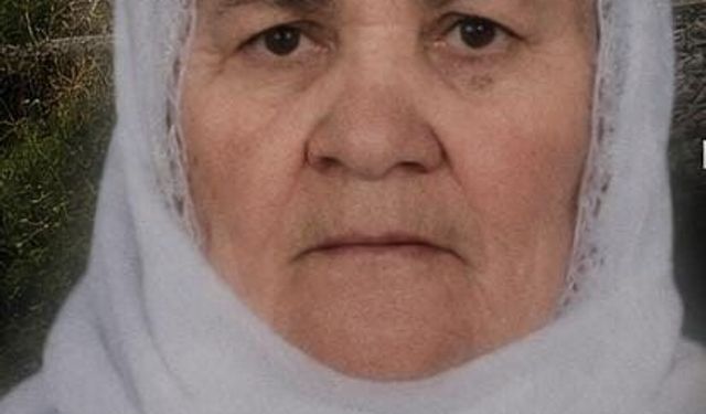 Tatvan'da trenin çarptığı yaşlı kadın hayatını kaybetti