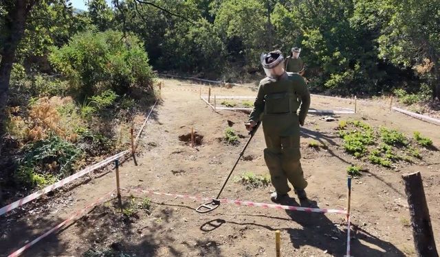 Terörsüz Türkiye ile Tunceli'de mayınlı araziler üretime kazandırılıyor