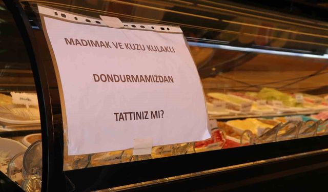Türkülere konu olan madımakın dondurmasını yaptılar