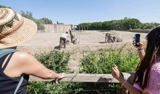Üç nesil Doğal Yaşam Parkı'nda buluştu