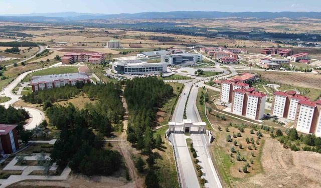 Üniversite adaylarına tercih tavsiyesi: Karar verirken başarı sıralaması yeterli değil