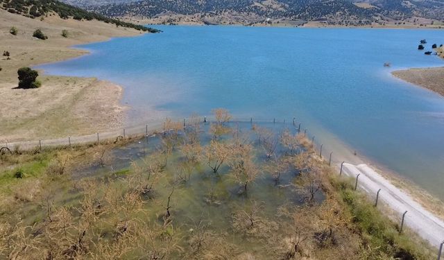 Yozgat'ta badem ağaçları sular altında kaldı