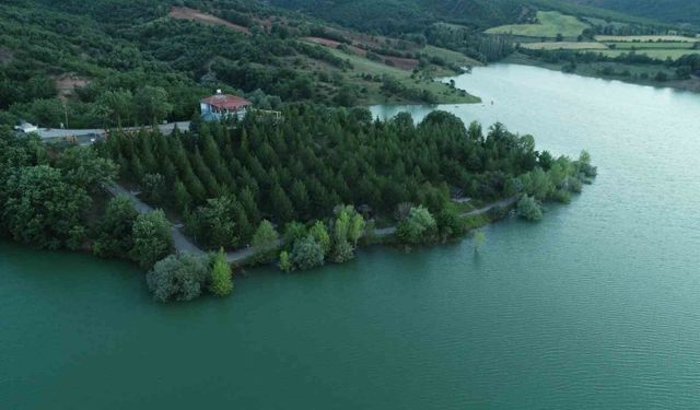 Yozgat'ta yeşilin her tonu saklı güzellik Pelitli Göl'de