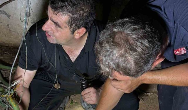 30 metrelik sondaj kuyusuna düşen yavru kedi itfaiyenin 5 saatlik film gibi operasyonu ile kurtarıldı