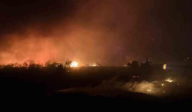 Antalya'da otluk yangını 30 dönümlük alanda etkili oldu