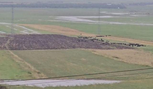 Ardahan'da sağanak ve dolu etkili oldu