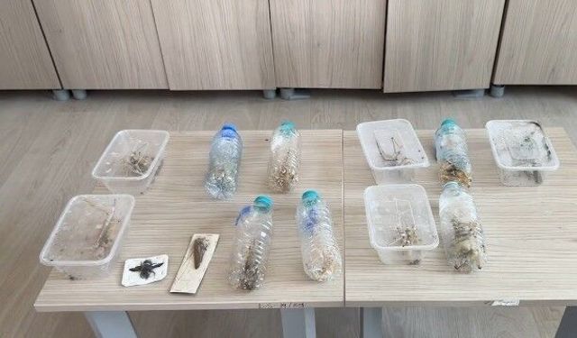 Bakan Yumaklı: 'İzinsiz şekilde tür toplayıcılığı yapan 2 yabancı uyruklu şahsa 1,4 milyon lira idari para cezası uyguladık'