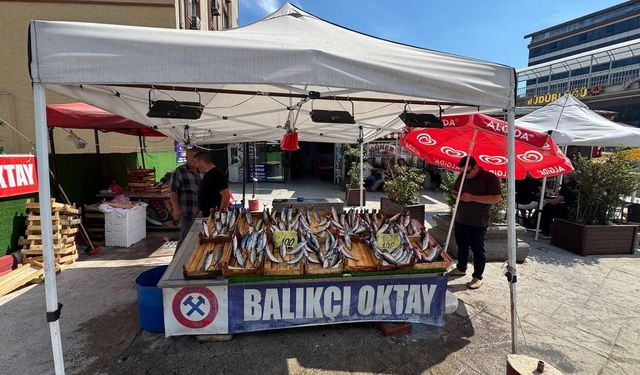 Balıkçı esnafından yeni sezon müjdesi, 'Bu sene denizden balık fışkıracak'