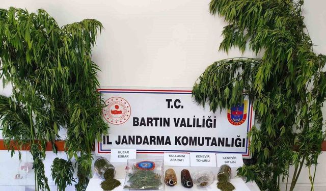 Bartın'da uyuşturucu operasyonu: 1 gözaltı