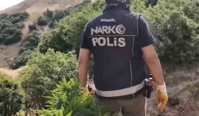 Bingöl'de uyuşturucu operasyonu: 3 şüpheli tutuklandı