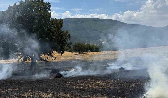 Bolu'da balya makinesinden çıkan kıvılcımlar yangına neden oldu