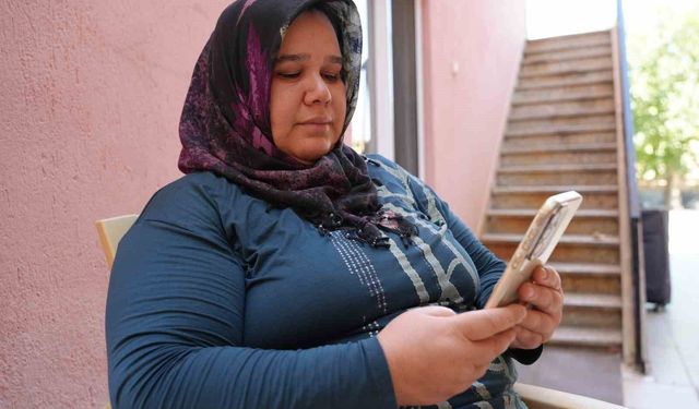 Denizli'de sokak hayvanlarının zehirlenerek öldürüldüğü iddiası