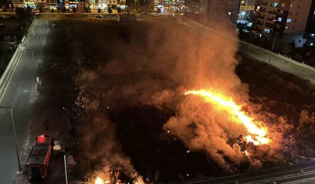 Diyarbakır'da meydan gelen anız yangını korku ve paniğe yol açtı