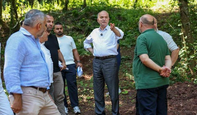 Düzce'ye 19 yeni bungalov ev yapılıyor