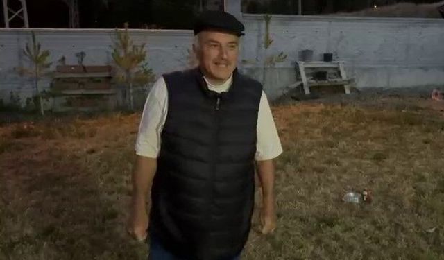 Her akşam gelip kedilerle aynı kaptan mama yiyor