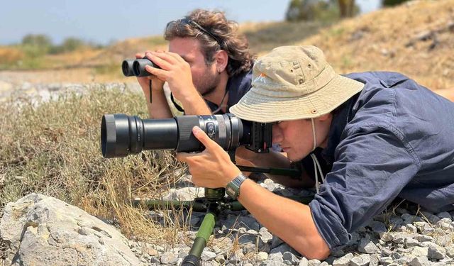 Kampüsün gizemli canlılarını fotoğraflıyor