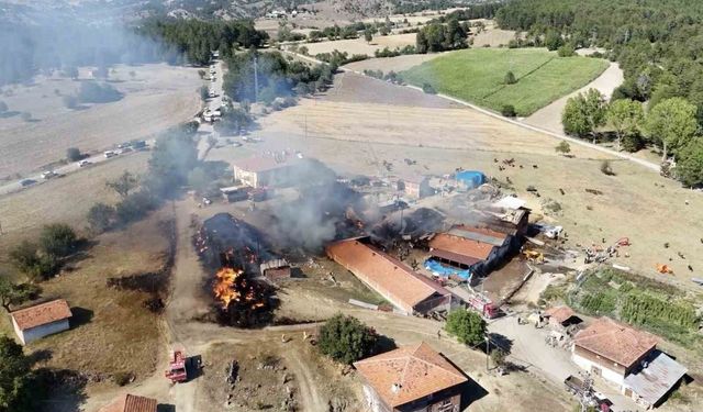 Kastamonu'da çıkan samanlık yangını ahırlara sıçradı: İlk belirlemelere göre 14 büyükbaş hayvan telef oldu