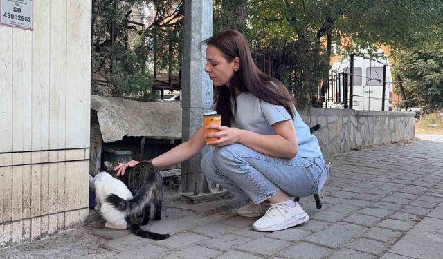 Kütahya'da kedi vahşeti: Başını ve ayaklarını kesip apartmanın önüne bıraktılar