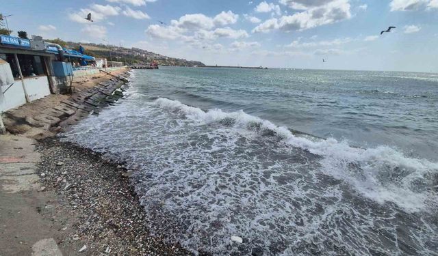Marmara'da deniz ulaşımına poyraz engeli