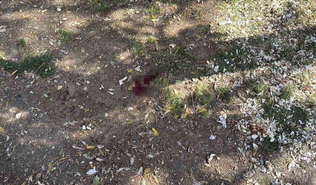 Parkta bir kişiyi döner bıçağıyla yaralayan saldırgan yakalandı