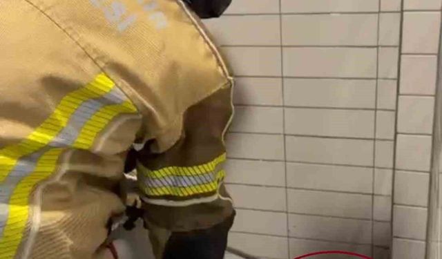 Petrol istasyonuna giren 2,5 metre uzunluğunda yılan yakalandı