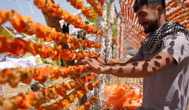 Sıcak hava en çok onlara yaradı: Kurutmalık sezonu başladı