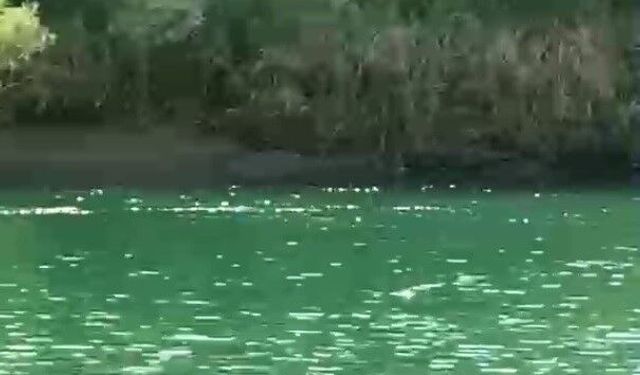 Şırnak'ta 4 kadının bindiği bot devrildi: 1 ölü