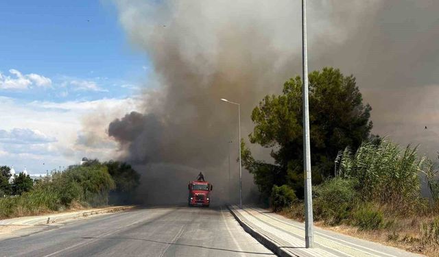 Yol kenarından başlayan yangın otel bahçesinde kontrol altına alındı