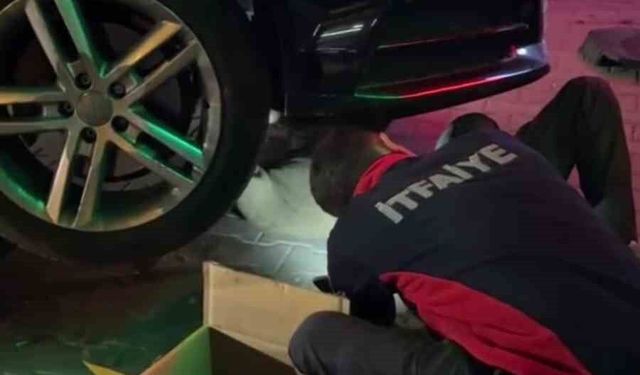 Yunanistan'dan Bolu'ya otomobilin motorunda gelen minik misafir