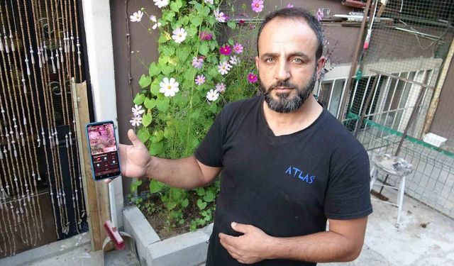 800 bin TL'lik güvercinlerini 24 saat kamera, çelik kapı ve kurtla koruyor