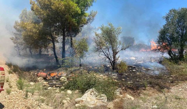 Antalya'da zirai alanda çıkan yangın büyümeden söndürüldü