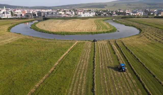 Ardahan'da hasat mesaisi havadan görüntülendi