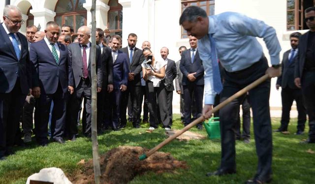 Bakanı Çiftçi, adını taşıyan çınar fidanını dikerek can suyu verdi