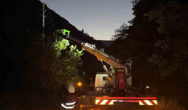 Çoruh EDAŞ, yağıştan etkilenen Rize ve Trabzon'da 120 saha çalışanıyla arızaları giderdi